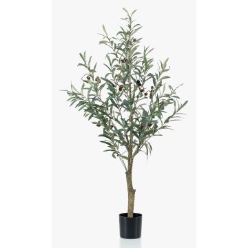 Olivo decorativo CLAYTON, tronco artificial, con frutos, 115cm