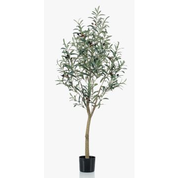 Olivo decorativo CLAYTON, tronco artificial, con frutos, 140cm