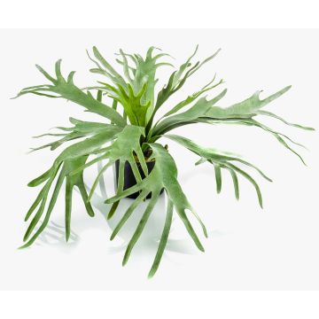 Helecho de platycerium artificial BOAL, verde, 60cm