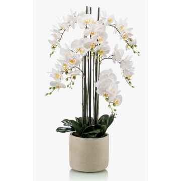 Orquídea phalaenopsis artificial CECILE, maceta de cerámica, blanco, 100cm