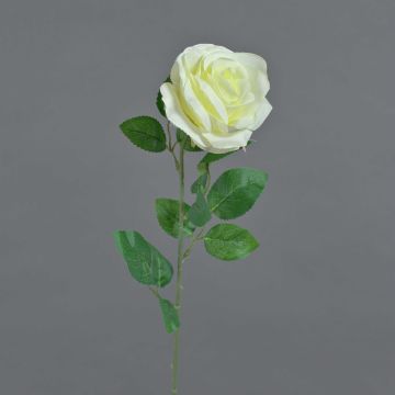 Rosa de plástico PEZOS, crema, 60cm