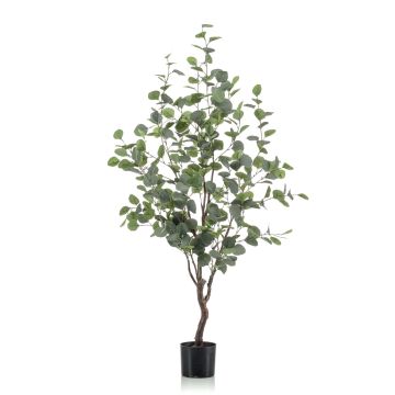 &Aacute;rbol de eucalipto falso ANUHEA, tronco artificial, verde-gris, 120cm