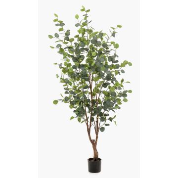 Árbol de eucalipto falso ANUHEA, tronco artificial, verde-gris, 140cm Árbol de eucalipto falso ANUHEA, tronco artificial, verde-gris, 140cm