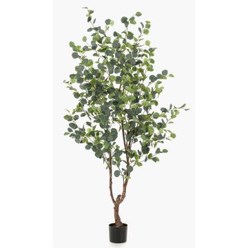 Árbol de eucalipto falso ANUHEA, tronco artificial, verde-gris, 180cm Árbol de eucalipto falso ANUHEA, tronco artificial, verde-gris, 180cm
