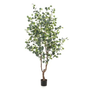 Árbol de eucalipto falso ANUHEA, tronco artificial, verde-gris, 180cm