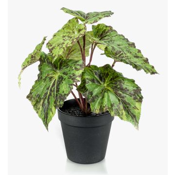 Begonia rex artificial MEIRA, verde-negro, 25cm