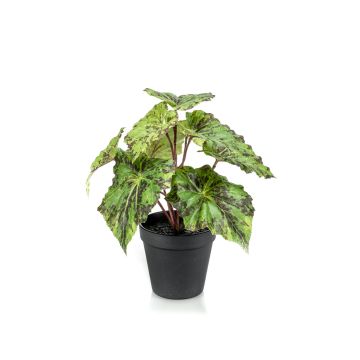 Begonia rex artificial MEIRA, verde-negro, 25cm