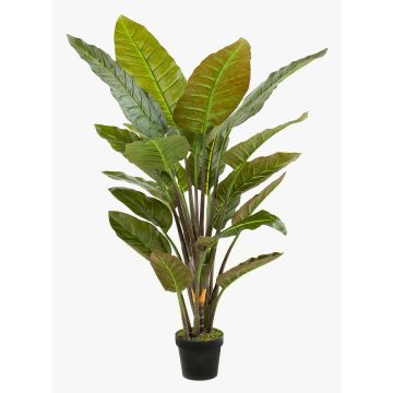 Strelitzia de plástico RIBERA, verde, 135cm