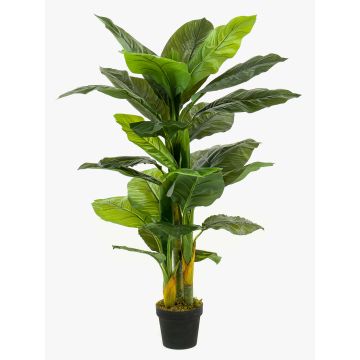 Spathiphyllum artificial SIERO, verde, 130cm Spathiphyllum artificial SIERO, verde, 130cm