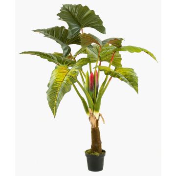 Colocasia artificial SOTU, verde, 160cm
