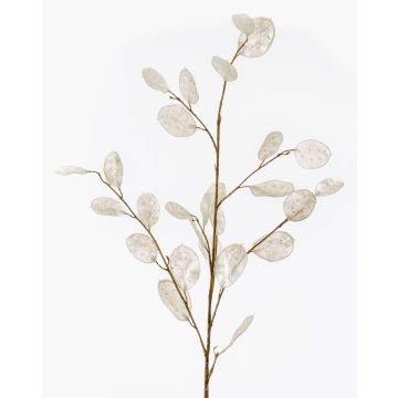 Rama de lunaria artificial BUELNA, crema, 105cm
