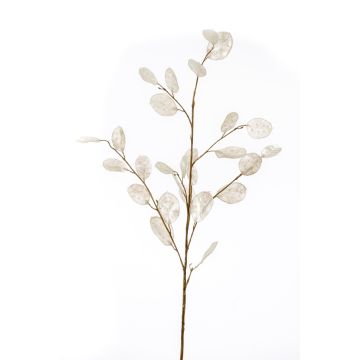 Rama de lunaria artificial BUELNA, crema, 105cm