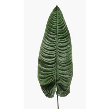 Hoja de colocasia artificial ABANTO, verde, 105cm