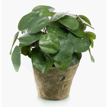 Planta china del dinero artificial SYBIL en maceta de terracota, verde, 22cm