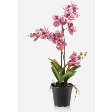 Orquídea vanda artificial CAMPO, rosa-fucsia, 60cm