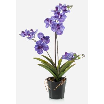 Orquídea vanda artificial CAMPO, violeta, 60cm