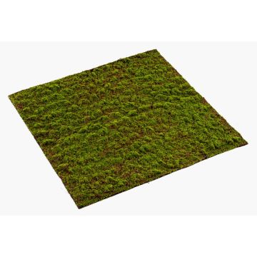 Estera de musgo bryophyta artificial FERMIN, verde, 100x100cm