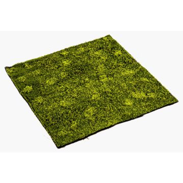 Estera de musgo hypnum artificial FERMIN, verde, 100x100cm