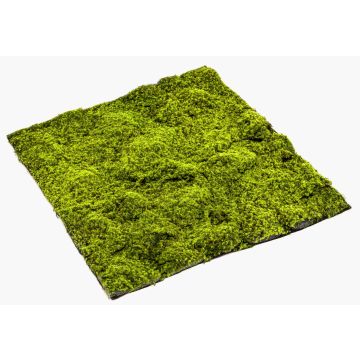 Estera de musgo sphagnum artificial FERMIN, verde, 100x100cm