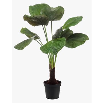 Palmera licuala artificial BERANT, 130cm