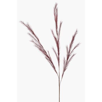 Rama falsa de hierba de stipa con panículas YECORA, rojo burdeos, 130cm