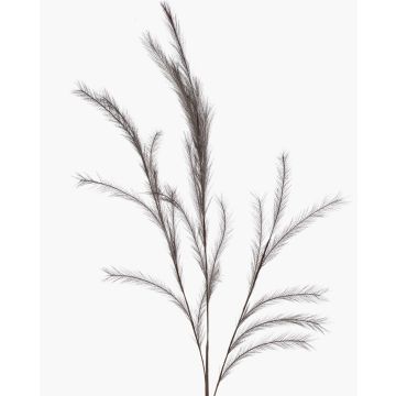 Rama falsa de hierba de stipa con panículas YECORA, gris, 130cm