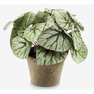 Begonia rex artificial MEIRA en maceta de terracota, frondoso, verde-gris, 25cm