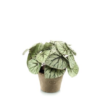 Begonia rex artificial MEIRA en maceta de terracota, frondoso, verde-gris, 25cm