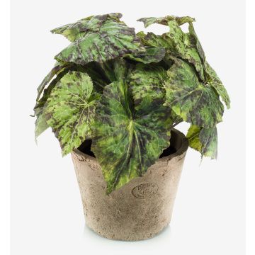 Begonia rex artificial MEIRA en maceta de terracota, frondoso, verde-negro, 25cm