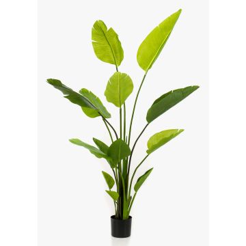 Strelitzia artificial BEDAR, verde, 150cm