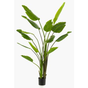 Strelitzia artificial BEDAR, verde, 180cm