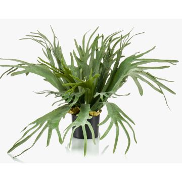 Helecho de platycerium artificial BOAL, verde, 65cm