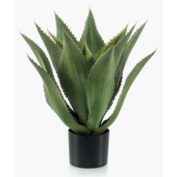 Agave artificial FERNANDA, verde, 55cm