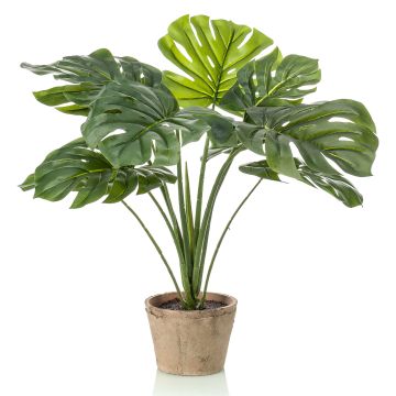 Filodendro artificial Monstera Deliciosa BRITI, maceta de terracota, 60cm Filodendro artificial Monstera Deliciosa BRITI, maceta de terracota, 60cm