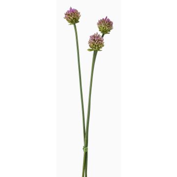 Atado de flores de allium artificial LAMDA, verde-violeta, 65cm Atado de flores de allium artificial LAMDA, verde-violeta, 65cm