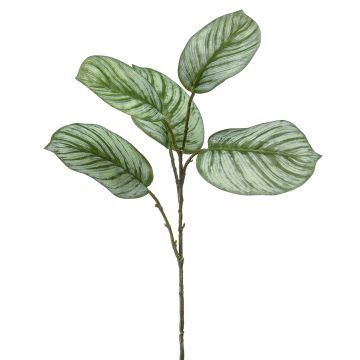 Rama artificial de Calathea Orbifolia ALNIYAT, verde-blanco, 75cm