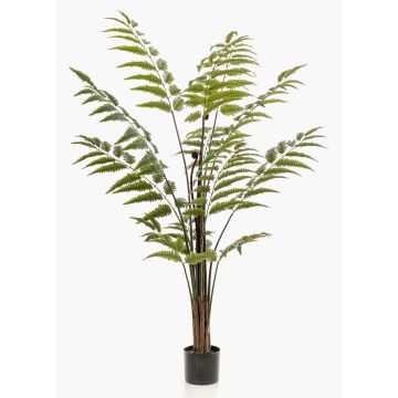 Árbol de helecho hoja de cuero artificial ANKOCA, verde, 150cm