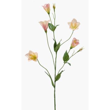 Lisianthus de imitación PAZAN, rosa-crema, 70cm