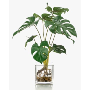 Philodendron Monstera Deliciosa artificial PAVONIS en maceta de cristal, 40cm Philodendron Monstera Deliciosa artificial PAVONIS en maceta de cristal, 40cm