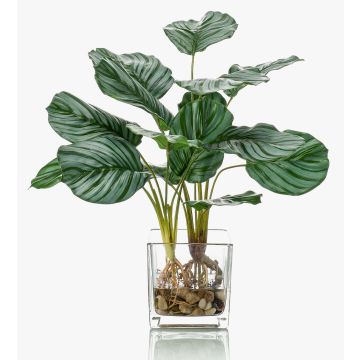 Calathea Orbifolia artificial AGINA en maceta de cristal, verde-blanco, 45cm