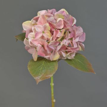Flor de hortensia artificial AMARILDO, rosa, 45cm