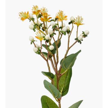 Hierba de San Juan artificial CANNO con flores, frutos, amarillo-blanco, 65cm Hierba de San Juan artificial CANNO con flores, frutos, amarillo-blanco, 65cm