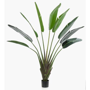 Árbol del viajero artificial DARCEL, verde, 180cm
