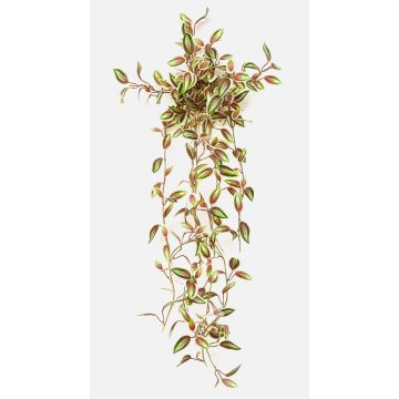 Planta artificial Tradescantia zebrina DIHALLO en varilla, colgante, verde-roja, 70 cm