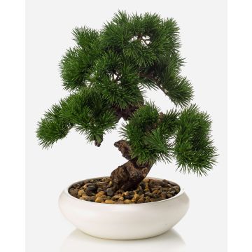 Bonsái artificial Pino MIRSANDA en maceta para bonsáis, 35 cm