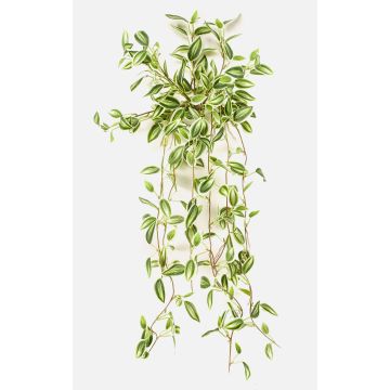 Planta artificial Tradescantia zebrina DIHALLO en varilla, colgante, verde-blanca, 70 cm