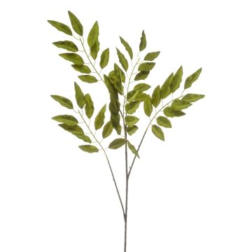 Rama decorativa de pistacho FLORIX, verde, 110 cm
