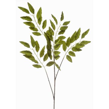 Rama decorativa de pistacho FLORIX, verde, 110 cm