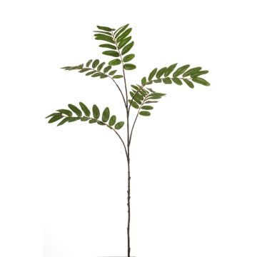 Rama decorativa de maquis MANIESA, verde, 105 cm