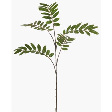Rama decorativa de maquis MANIESA, verde, 105 cm
